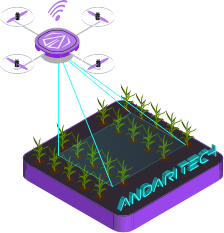 Photogrammetry & Surveying
  